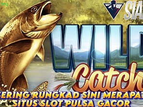 Sering Rungkad? Sini Merapat Situs Slot Pulsa Gacor Bermain Wild Catch